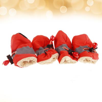 Ropa y calzado – Zapatos para perros