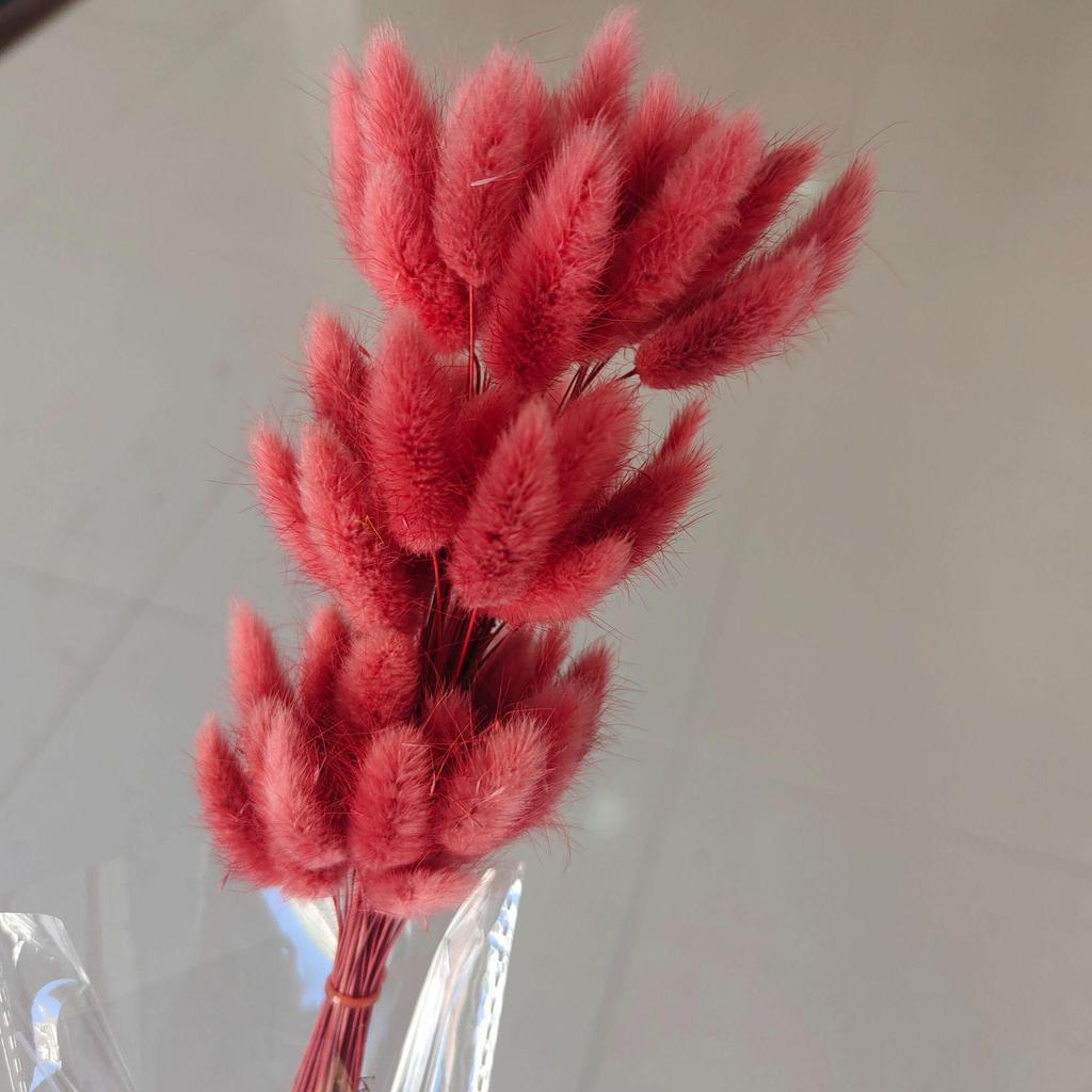Yunnan Dried Flowers Bouquet - Rabbit Tail Grass