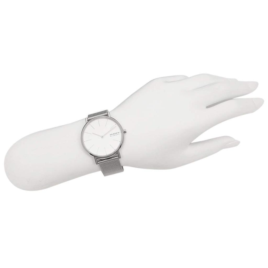 Skagen Women's Watch, SKW2785, Silver [Parallel Import]