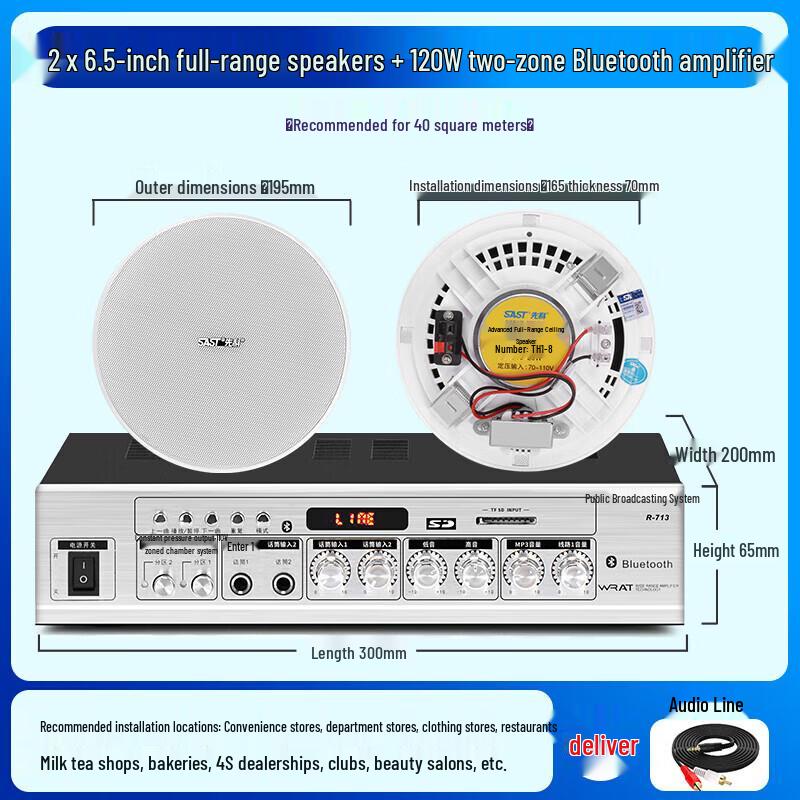 SAST 6-inch Constant Voltage Ceiling Speaker CN Plug (adapter Included)