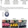 4PCS Adjustable Dog Foot Cover Breathable Anti-slip Pet Socks Pet Supplies Dog Mesh Shoes  Snow