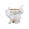 Decorative Mother and Baby Elephant Incenses Holder Resin Cone Burners White Finish with Gold Bowl for Meditations Room Table and Shelf Display