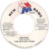 7inch Record HEYDEN TWINS  Imagine NONE New Name Muzik 1989 Jamaica Reggae Ska  Dub Used