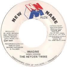 

7inch Record HEYDEN TWINS Imagine NONE New Name Muzik 1989 Jamaica Reggae Ska Dub Used