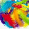 Vivid Artificial Feathers for Crafts Jewelry Design Durable Multi-Colored Feathers for Art Projects Decorations Hats Accessories