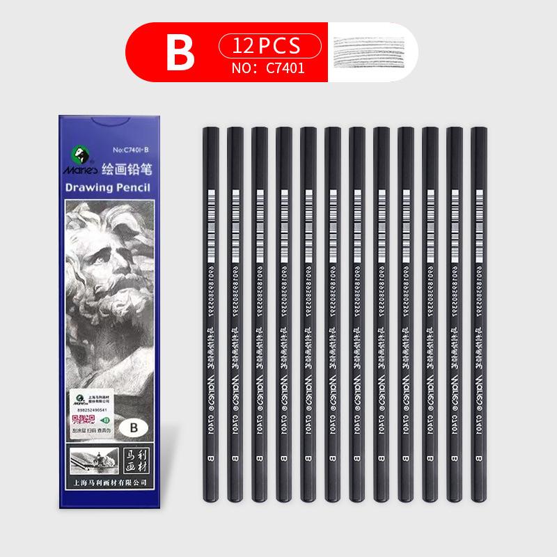 Marie's Schetspotlood Set Grafiet Tekenpotloden Kunstpotlood Set HB 2B 4B 6B Professionele Schetspotloden voor Kunstenaars