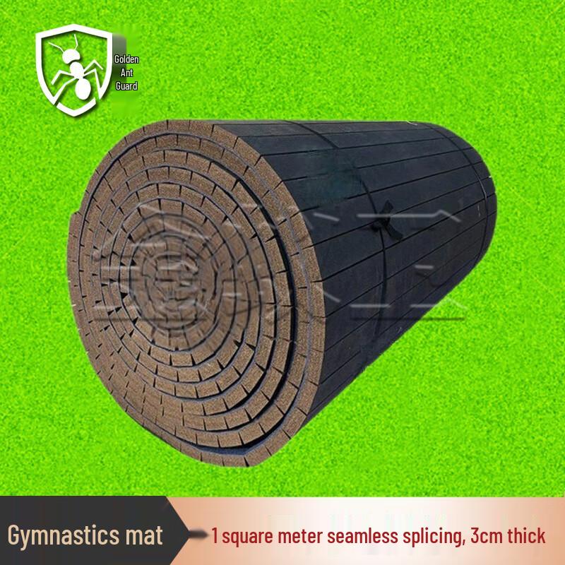 Jinyiwei Martial Arts & Gymnastics Mat