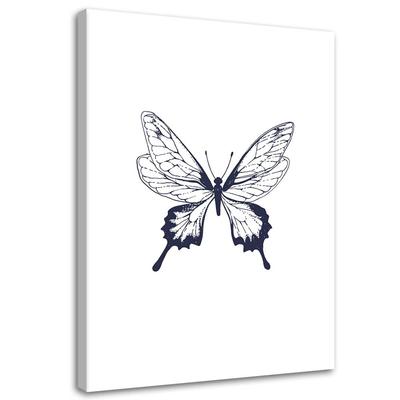 Canvas Print, Drawn Butterfly