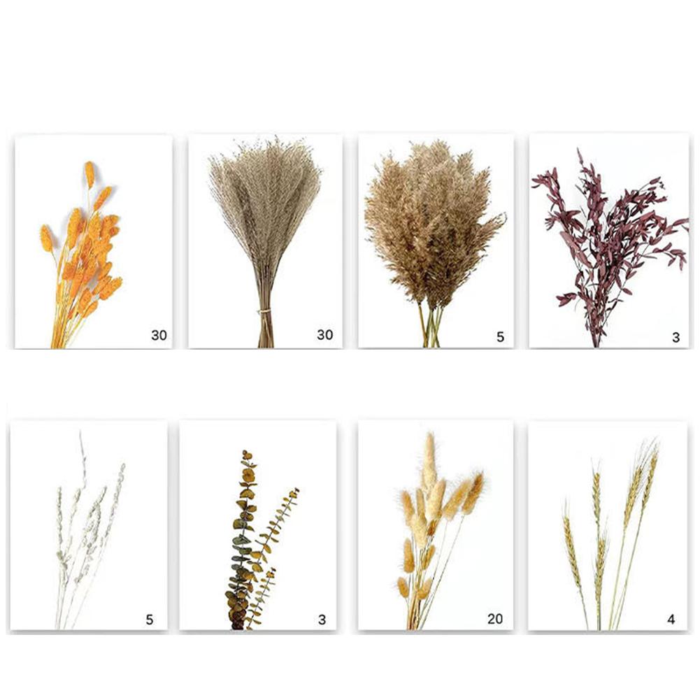 

Low Maintenance Flower Arrangement Natural Decorative Flowers Pampas Grass Bouquet Natural Aesthetic Sustainable Home Decor China Mainland