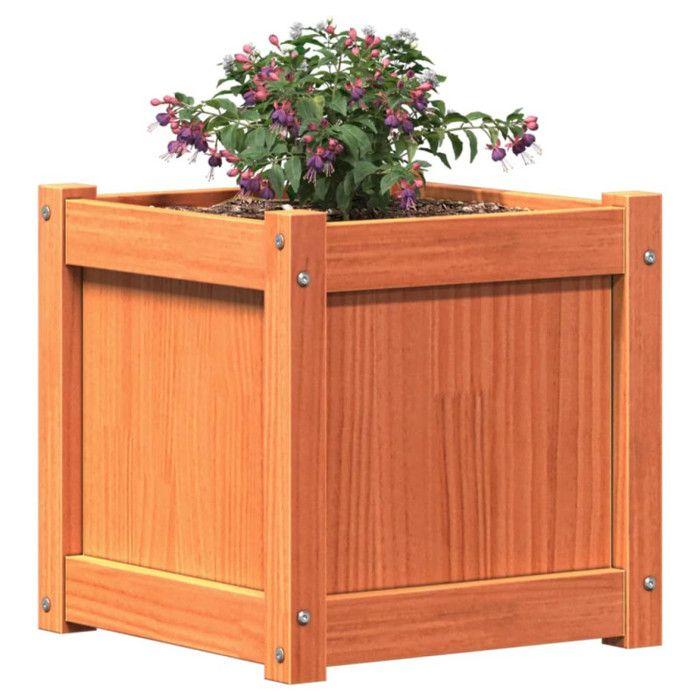 VidaXL Jardinière cire marron 40x40x40 cm bois de pin massif 837408