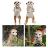 Meerkat Garden Animal Statue Garden Ornament for Home Office Balcony Porch