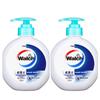 Walch Healthy Care Antibacterial Hand Soap