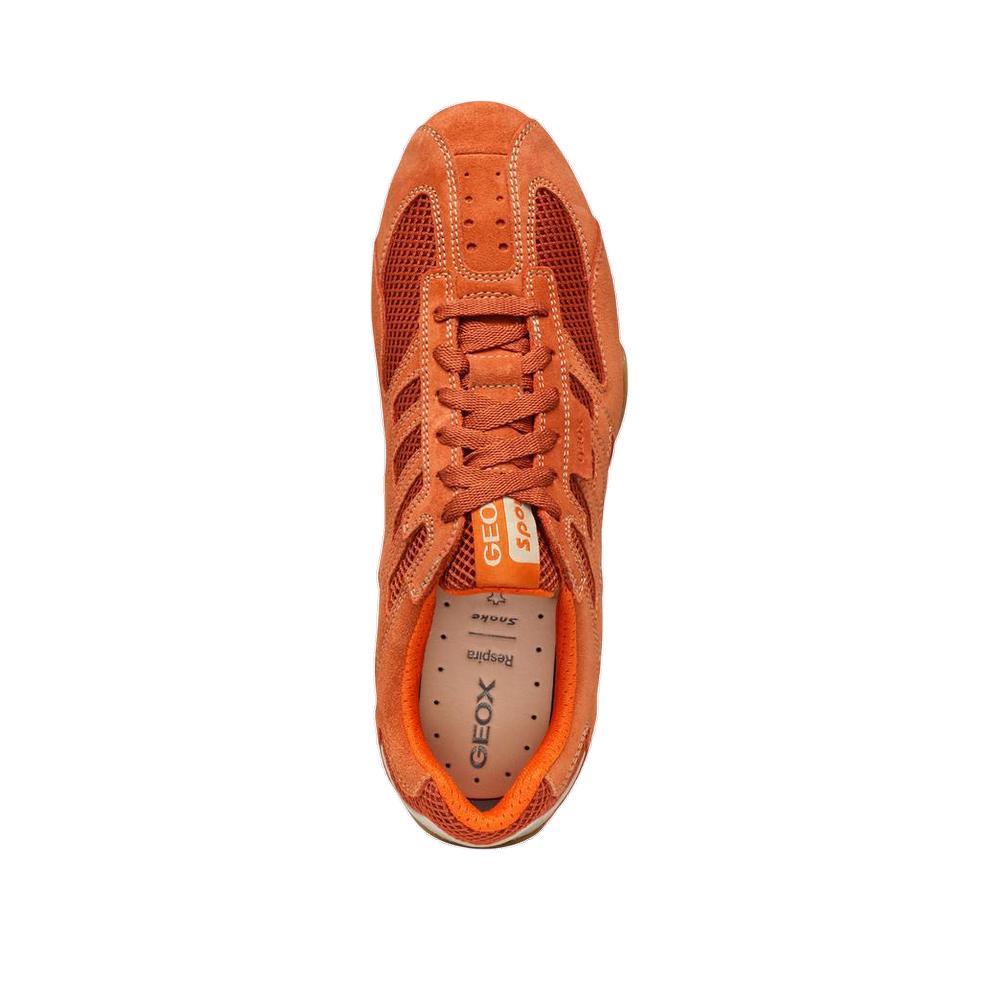 Sneakers Geox Snake Original A