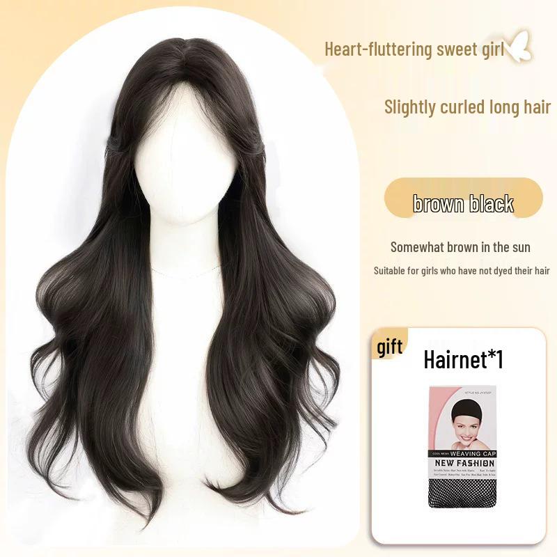 Women's Long Curly Lace Front Wig, Middle Part, Fluffy Daily Wear