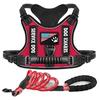 Pet Chest and Back Straps, Explosion-proof Nylon Leashes, Red Night Vision Reflective Dog Supplies