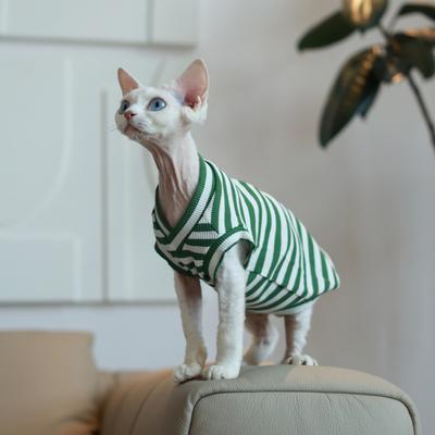 Collar Air Conditioner Suit Stretch Cotton Vest Vest Easy To Wear Ren Fa Cai Hairless Cat Clothes Sphinx Cat