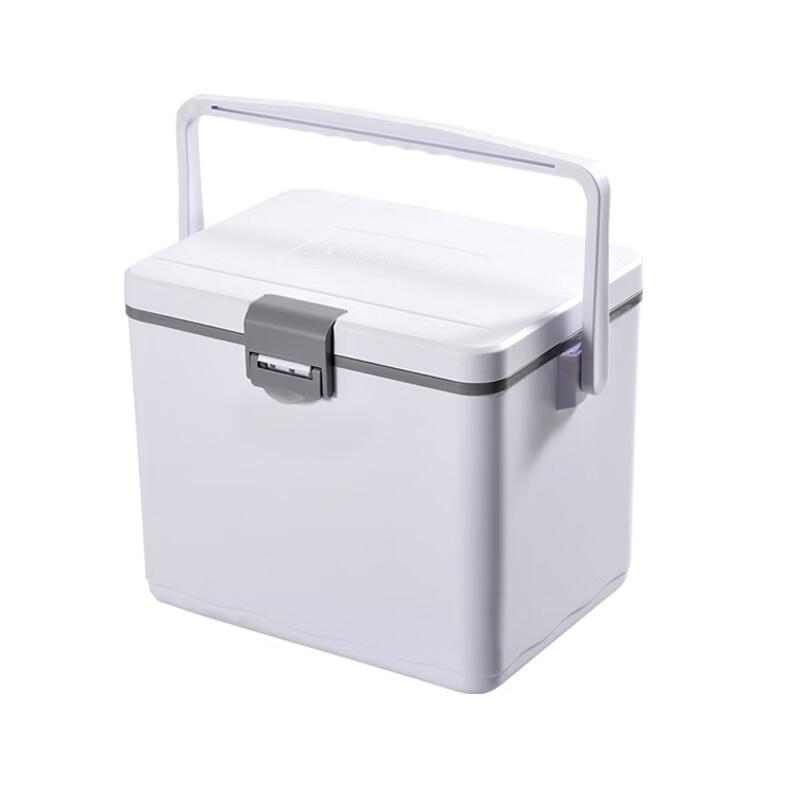 Portable 15L Cooler Box