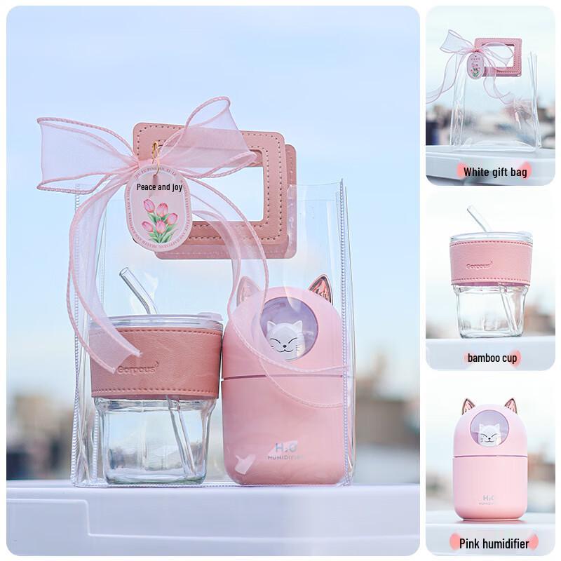 WJ Portable Glass Cup Gift Set