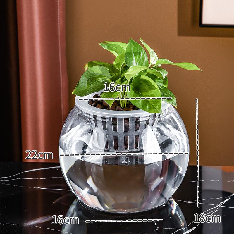 Small Hydroponic Vase for Phalaenopsis & Succulents - Desktop Decoration