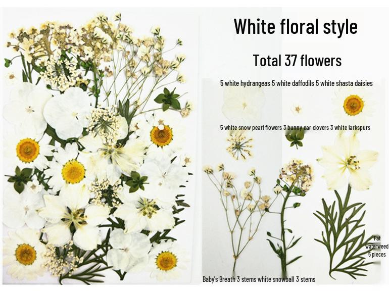 Handmade Kindergarten Collage: Real Dried Leaf and Flower Stickers for Face and Photo Decoration