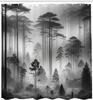 black and white shower curtain misty tall trees woodland natural landscape fabric bathroom decoration shower curtain with hook