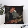 Joe Keery And His Bat Djo Pillowcase Polyester Cushion Cover Decoration Throw Pillow Case Cover Seater Zippered 40X40Cm