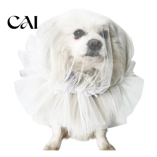 Adjustable Anti-gnaw Net Dog Face Mesh Net, Anti Eating Pet Headgear, Breathable Lightweight Training Accessories Head Cover for Small Medium