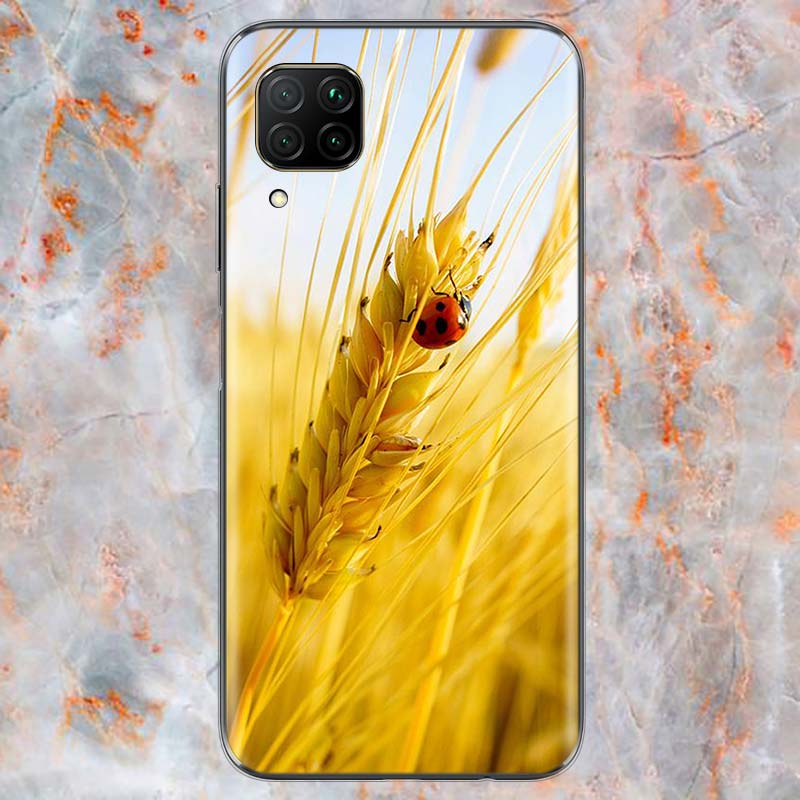 

Чехол для телефона из спелой пшеницы для Huawei Mate 40 30 20 20X 10 RS P Smart 2021 2020 ZS Pro Plus Lite 2019 Mate 40 Pro