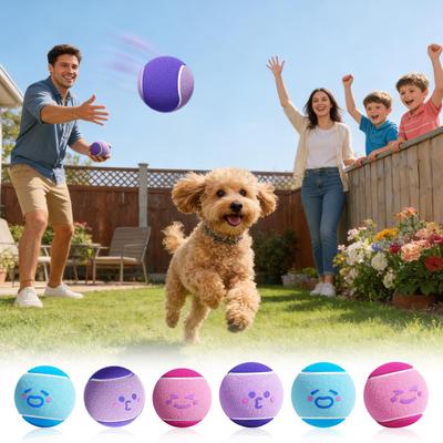 6 Stück Hundebälle, Interaktives Spielzeug für Hunde, Bissfeste Langlebige Gummi-Tennisbälle, Spielzeug für Welpen Indoor Outdoor