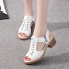 Summer New Color Women's Sandals Side Zipper Fashion Women's Sandals Women's Shoes