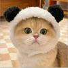 1Pcs Funny Cat Cap Bear Plush Head Cover Cute Cat Dog Woven Warm Headdress Pet Hat Kitten Puppy Cosplay Costume Accessories