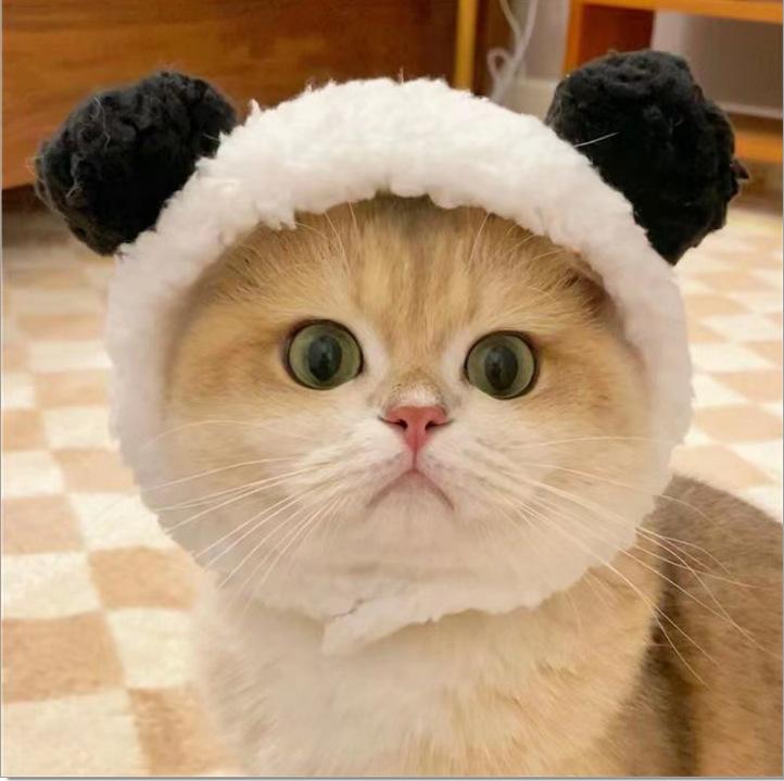 1Pcs Funny Cat Cap Bear Plush Head Cover Cute Cat Dog Woven Warm Headdress Pet Hat Kitten Puppy Cosplay Costume Accessories