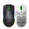 T66 Loch-Maus 2,4G Drahtlose MAUS Leichtes Design Wabenförmiges RGB-Licht 6-Tasten-Maus
