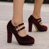 Q/Women's High Heel Single Shoes Elegant Suede Solid Color Waterproof Platform Thick Heel Large Low Top Shoes