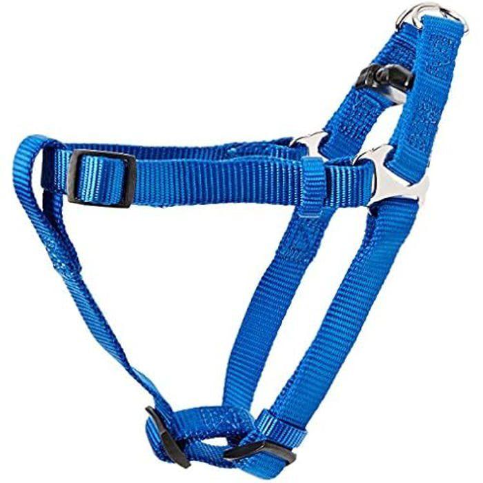 Harnais pour Chiens - TRIXIE - Premium - Bleu - XS-S - Nylon Robuste