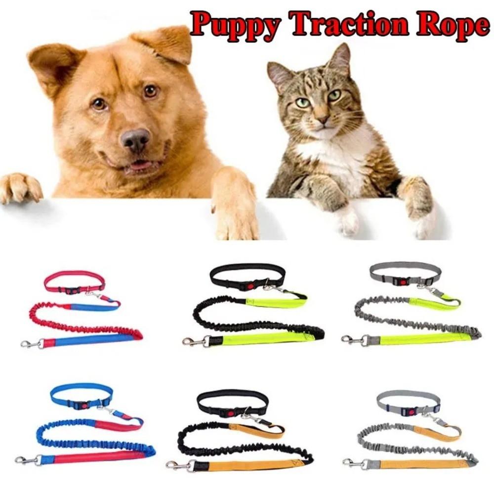 Double Stretch Running Dog Leash Reflective Dog Traction Rope Pet Walking Leash  for Dogs Cats