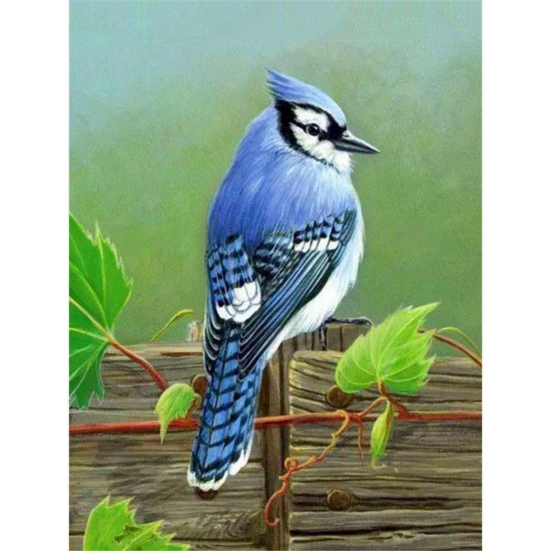 GATYZTORY Malen nach Zahlen für Erwachsene Spatzenvogel Tier Einzigartige Geschenke Ölfarbe Malerei auf Leinwand Gerahmte Wandkunst Handwerk