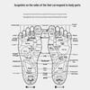 Jianjunshuo Double-Row Foot Massager Roller