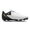 Nike Jr Phantom GX 2 Academy FG/MG White Metallic Gold Coin Black FD6722-100