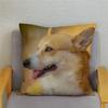 Cute Welsh Corgi Pembroke Dog Cushion Cover Pillow Case Home Decor Animal   Sofa Car