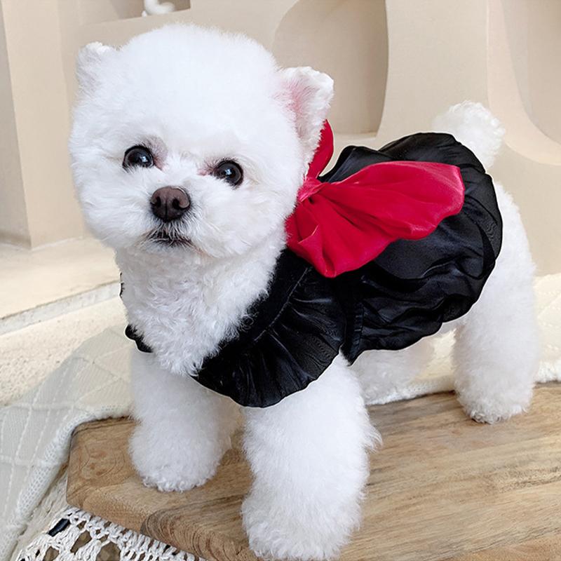 Bow Dog Princess Dress Summer Dog Clothes Lace Thin Puppy Skirt Girls Dog Costume Chihuahua Bichon Cat Dresses Dog Clothing 2025