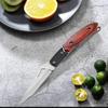 Stainless Steel Pocket Folding Knife Outdoor Fruit Knife with Non Slip Handle Portable Multifunctional Small Camping Knife