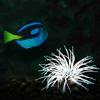 Artificial Silicone Sea Anemone with Glowing Effect for Fish Tank Aquarium Ornament Decoration