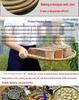 Large Handmade Bamboo Winnowing Basket - Round Woven Tray/Sieve for Drying or Decoration