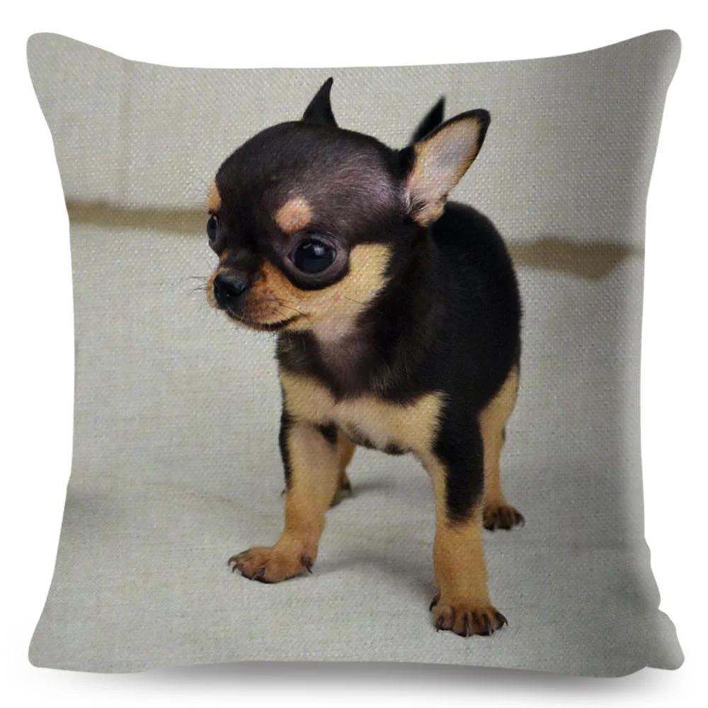 Niedlicher Kleiner Hund Chihuahua Kissenbezug Deko Liebes Haustier Tier Kissenbezug Polyester Überwurf Kissenbezug für Sofa Zuhause Auto 45x45cm