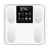 High-Precision Electronic Body Fat Scale