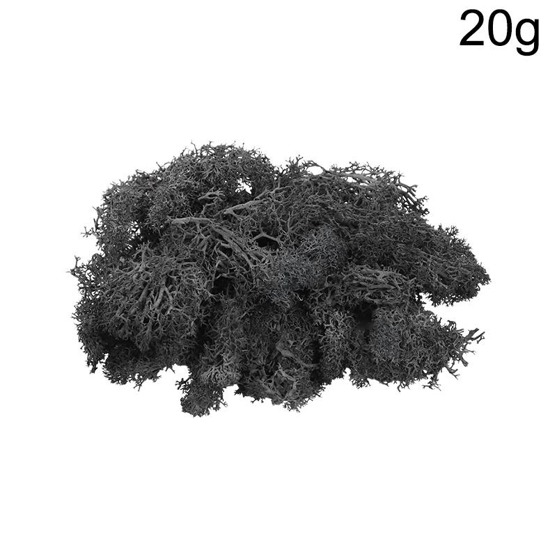 20g Artificial Preserved Moss Eternal Life Green Grass for DIY Crafts Mini Landscape Living Room Home Garden Decoration Supplies