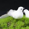 With Clip Venue Layout Christmas Home Furnishing Feather Bird Dove Imitation Bird Fake Bird