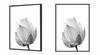 Picture poster In a frame 43x33 cm Flower P1147