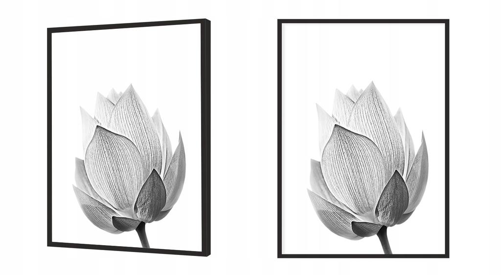 Picture poster In a frame 43x33 cm Flower P1147